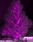 2 Pack Solar String Lights Outdoor, 200 LED Extra-Long 72FT Solar Powered Lights with 8 Lighting Modes, Waterproof Outdoor Lighting Decoration for Garden, Patio, Balcony, Xmas, Wedding, Party (Pink)